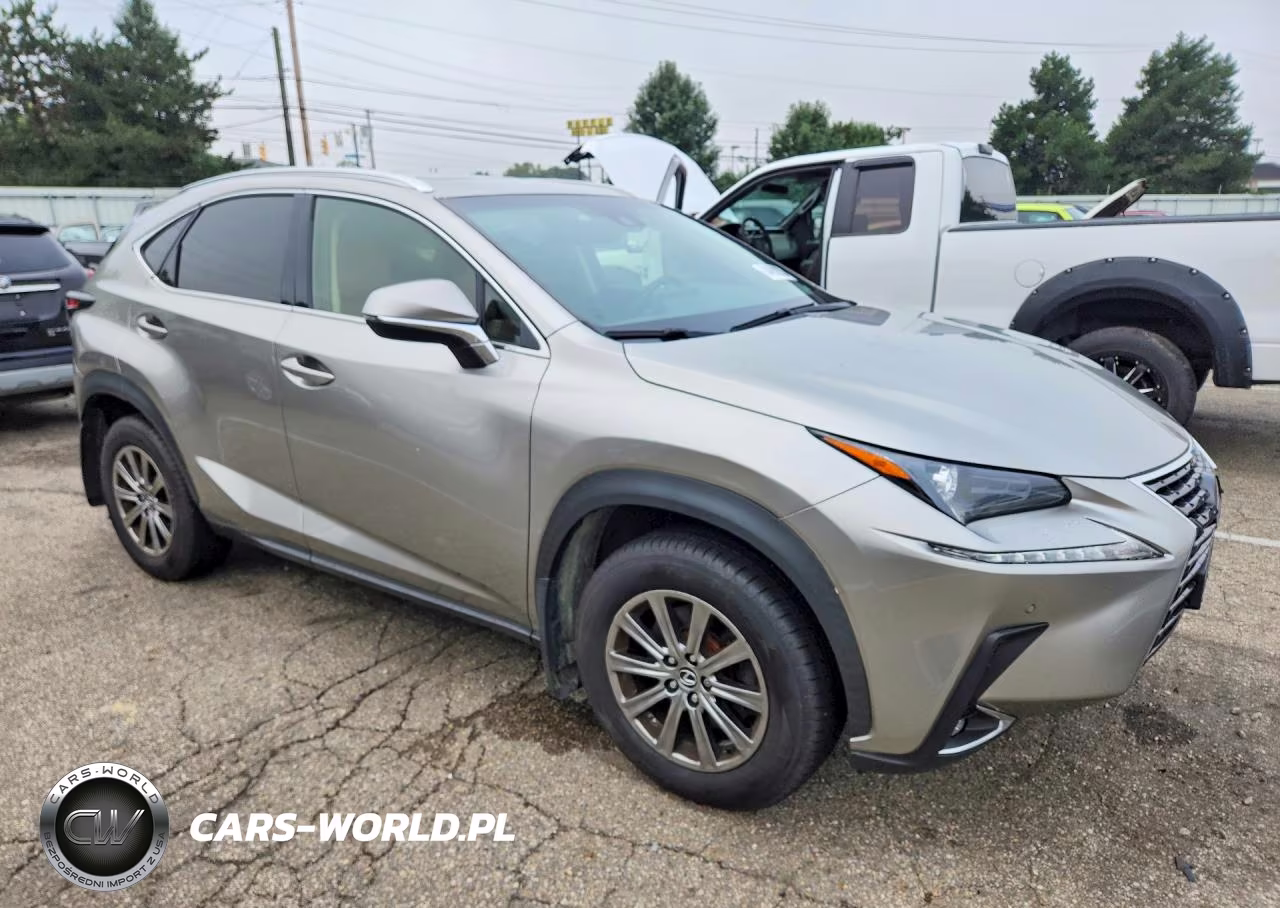 2019 Lexus Nx 300 Base VIN:JTJBARBZ7K2199946 - 4