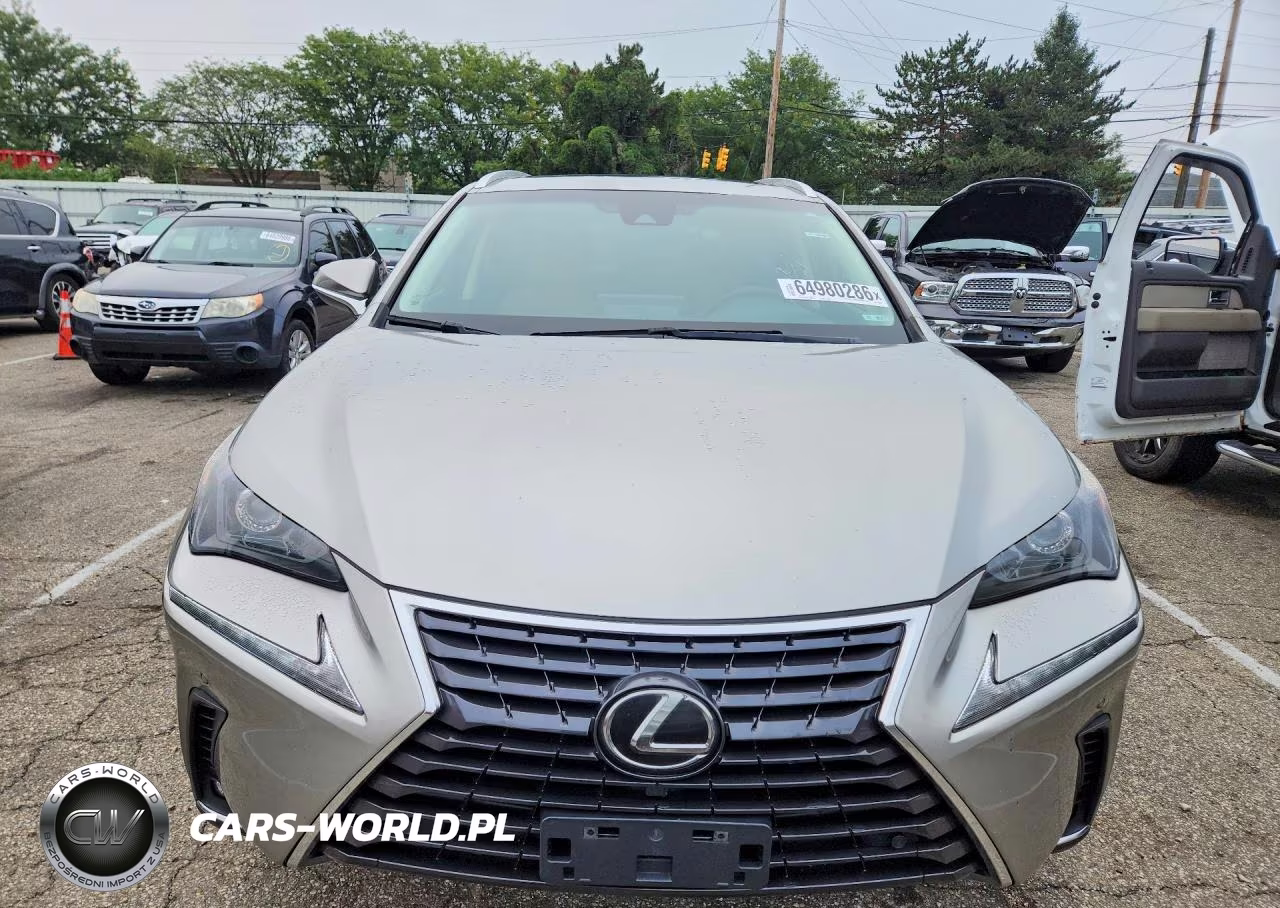 2019 Lexus Nx 300 Base VIN:JTJBARBZ7K2199946 - 5