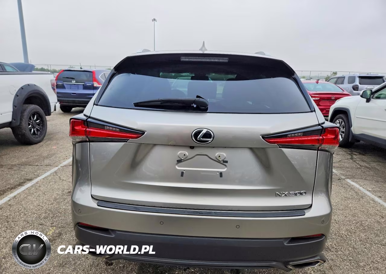 2019 Lexus Nx 300 Base VIN:JTJBARBZ7K2199946 - 6