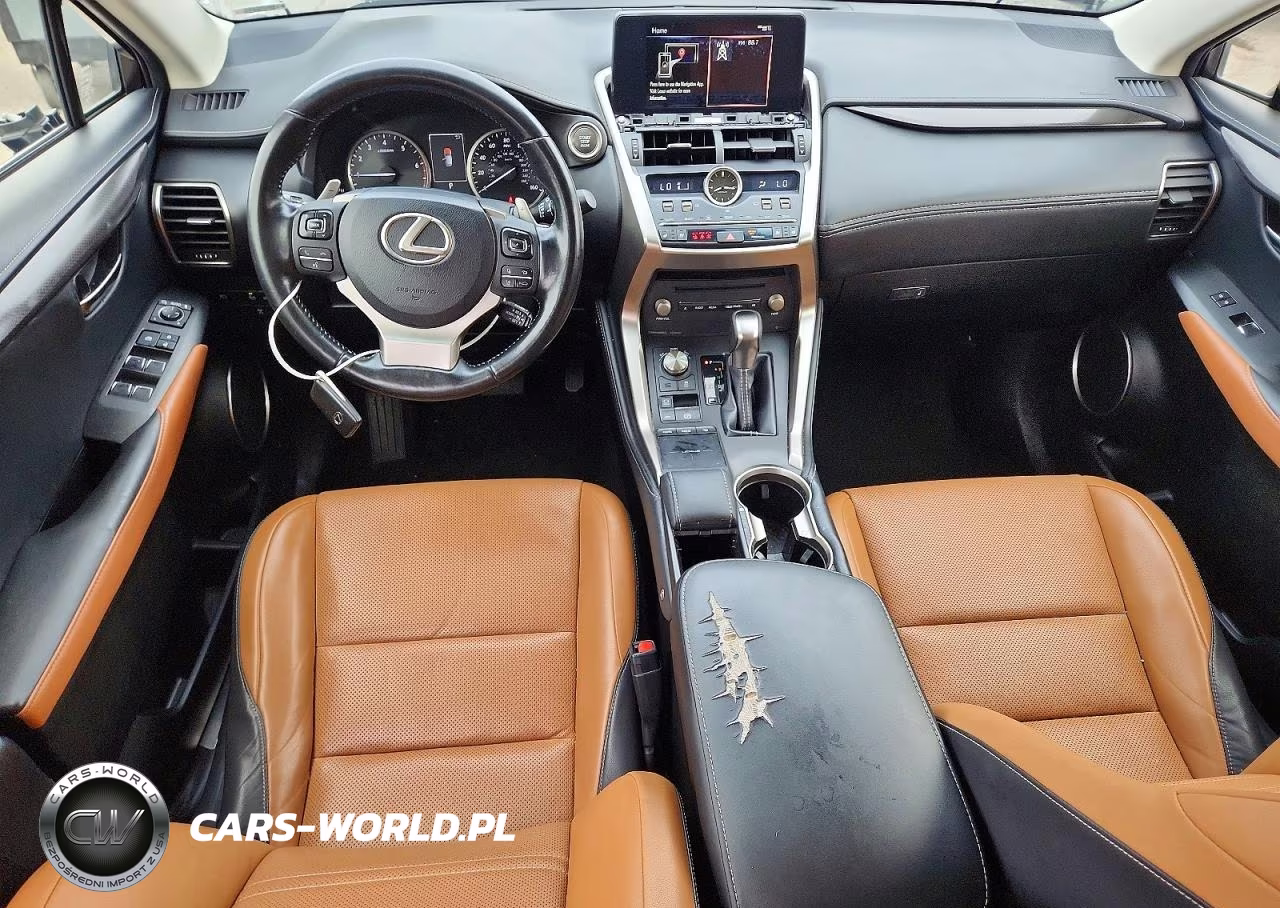 2019 Lexus Nx 300 Base VIN:JTJBARBZ7K2199946 - 8