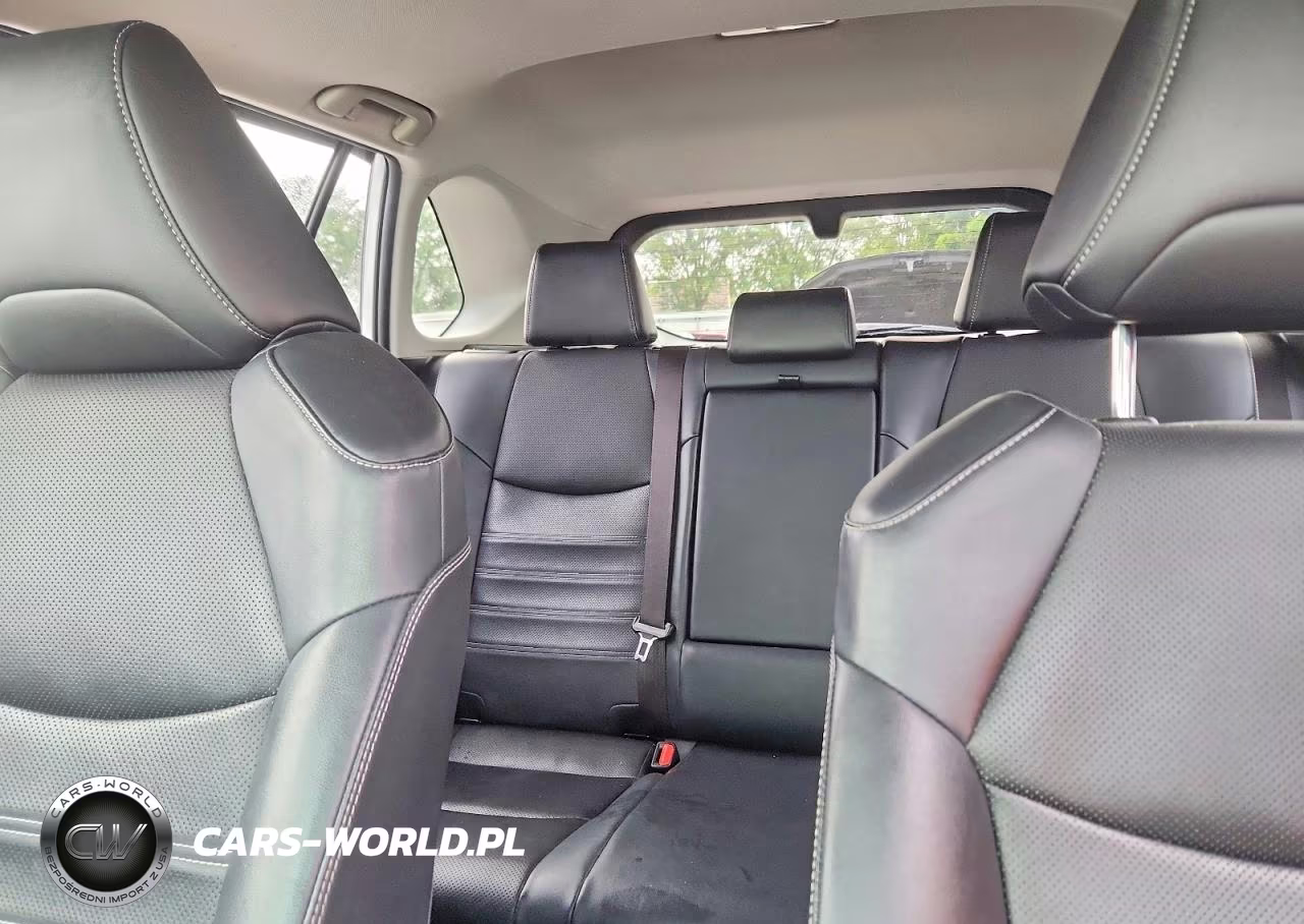 2020 Toyota Rav4 Limited VIN:JTMN1RFV1LJ035090 - 10