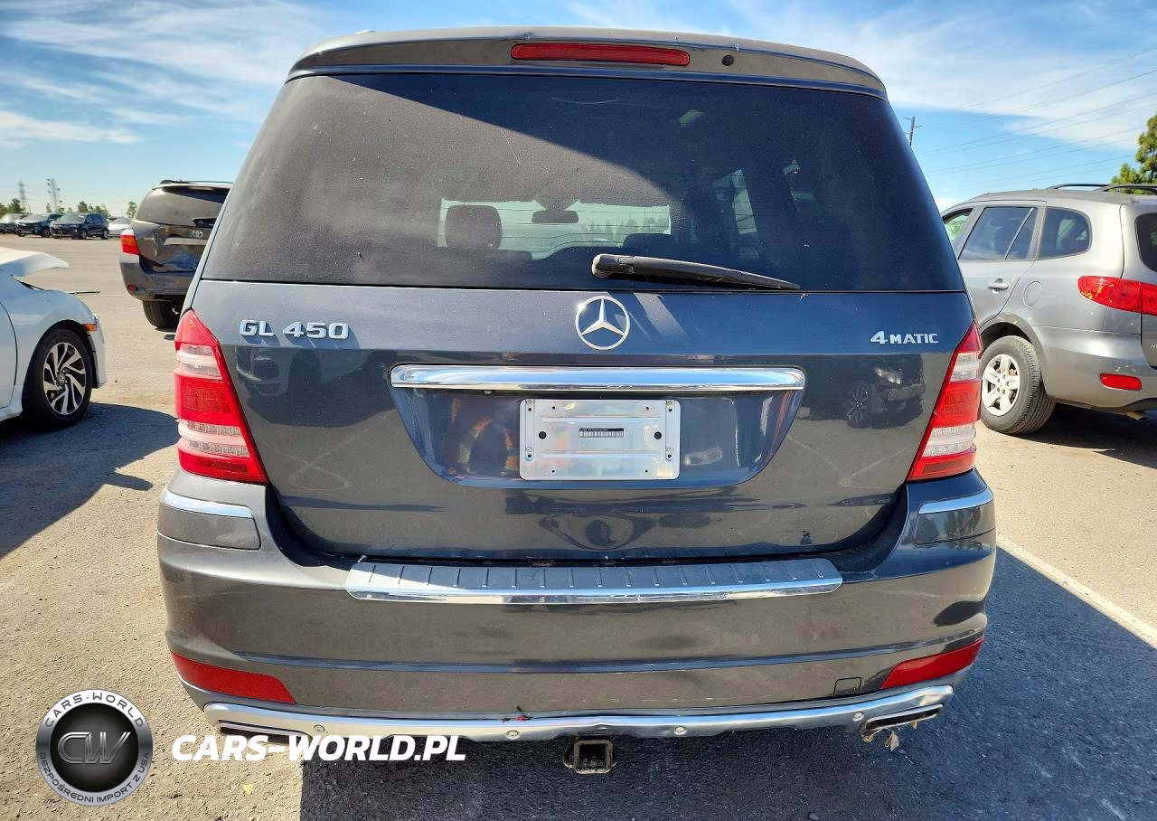 2010 Mercedes-Benz Gl 450 4Matic VIN:4JGBF7BEXAA581006 - 6