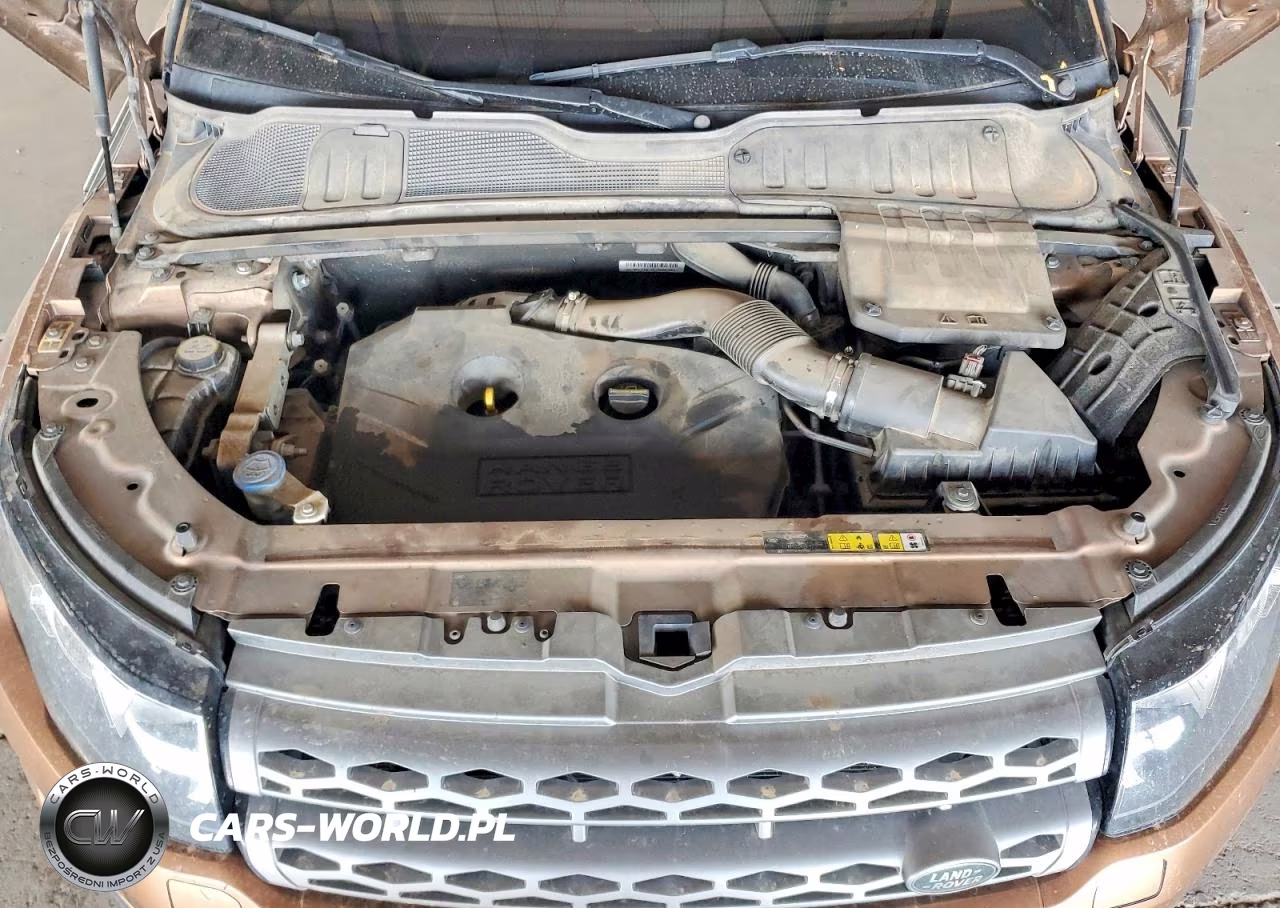 2014 Land Rover Range Rover Evoque Pure Plus VIN:SALVP2BG3EH954170 - 11