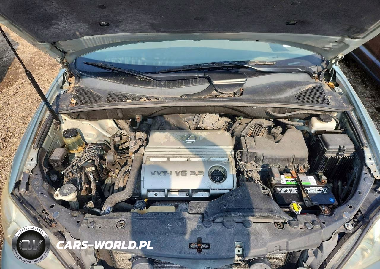 2004 Lexus Rx 330 VIN:2T2HA31UX4C037180 - 12