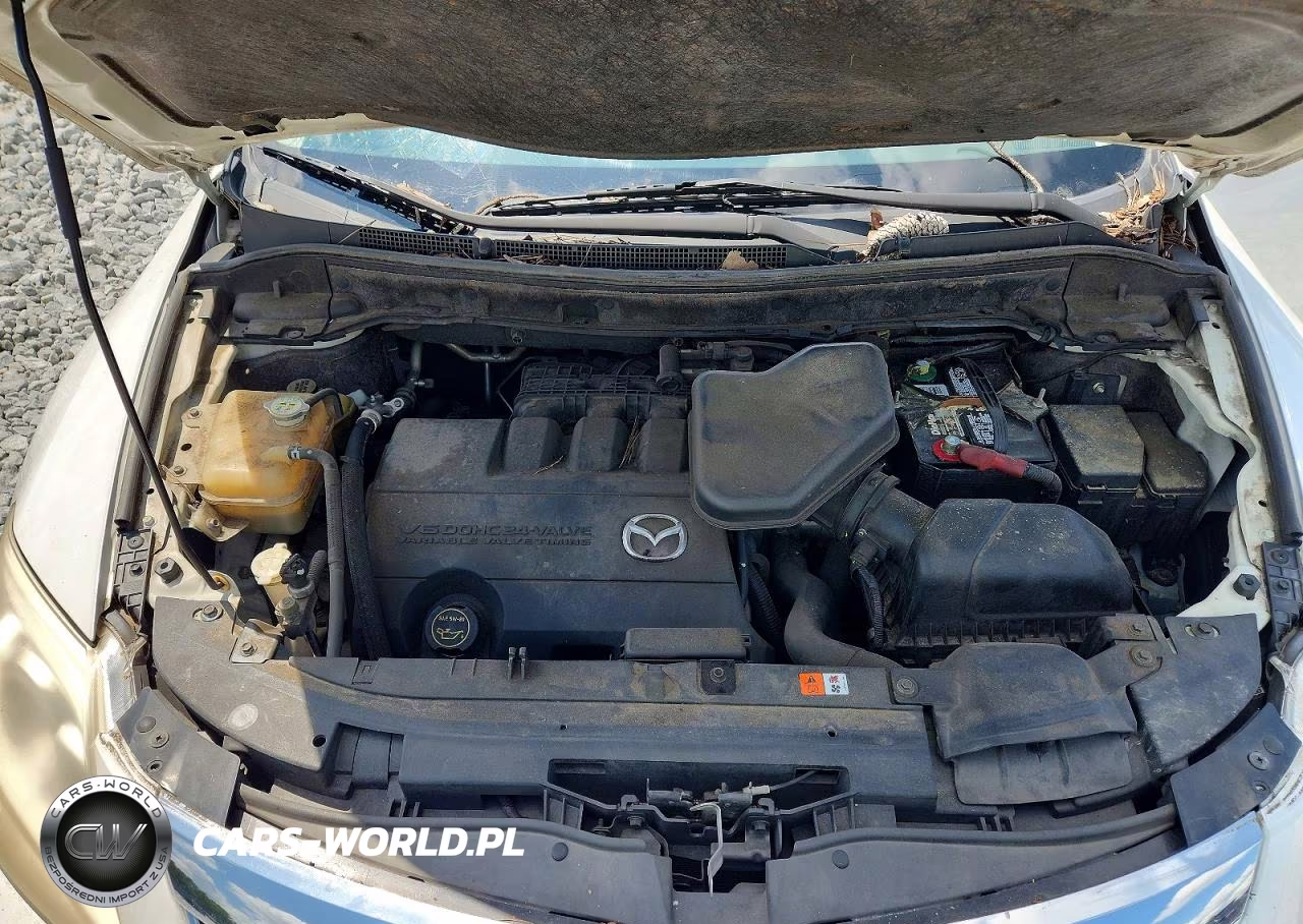 2012 Mazda Cx-9 VIN:JM3TB2CA1C0343922 - 12