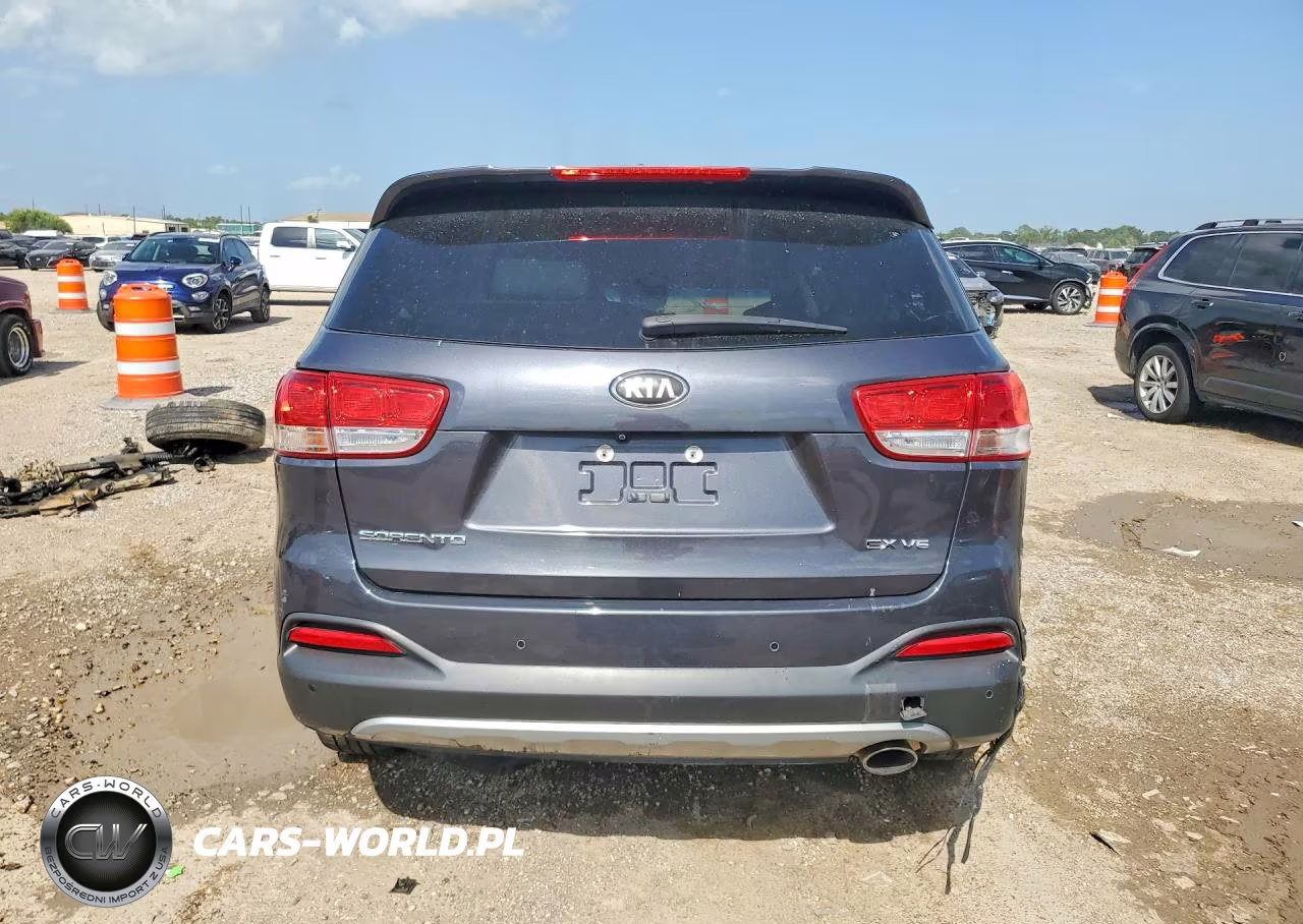 2016 Kia Sorento Ex VIN:5XYPH4A52GG187349 - 6