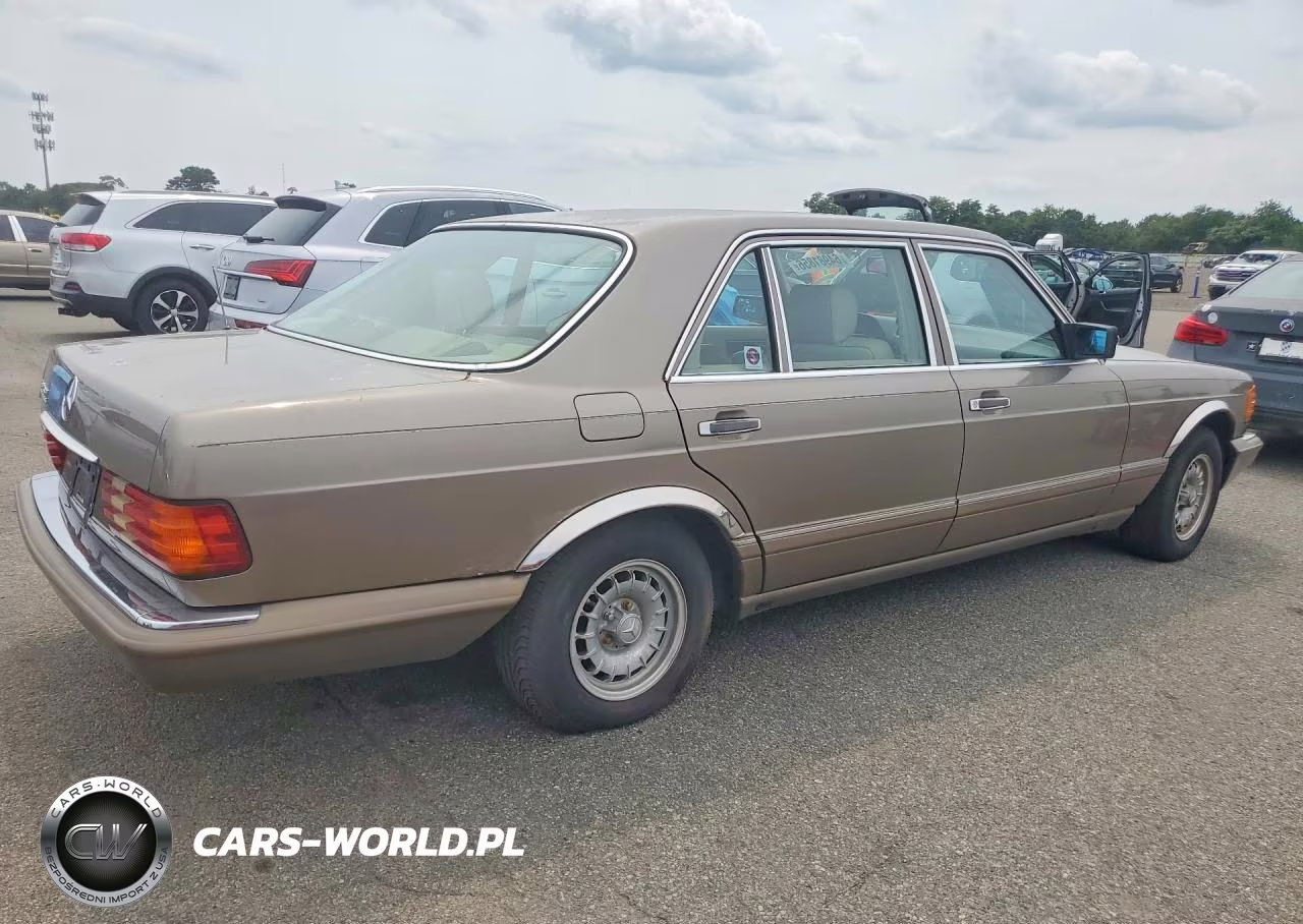 1991 Mercedes-Benz 560 Sel VIN:WDBCA39E5MA601462 - 3