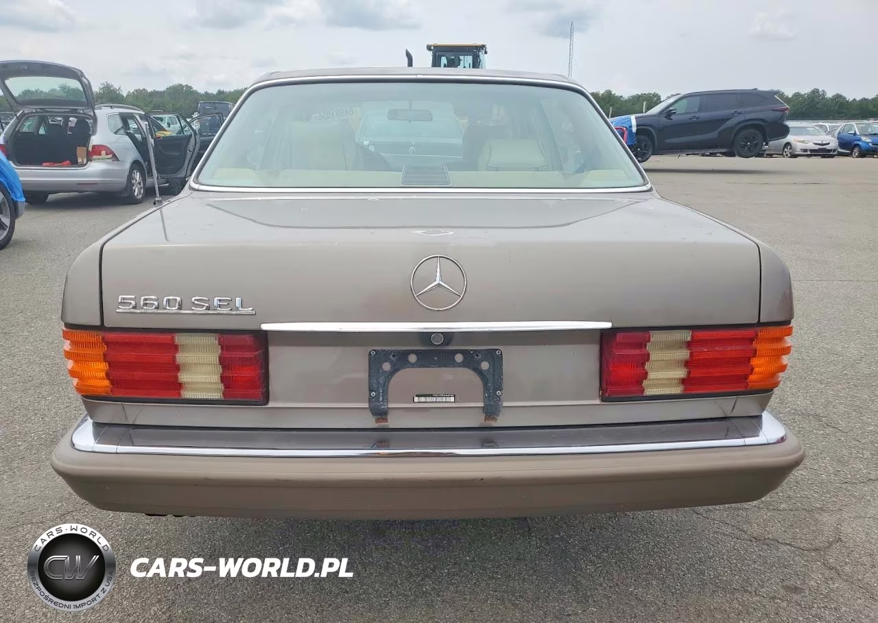 1991 Mercedes-Benz 560 Sel VIN:WDBCA39E5MA601462 - 6