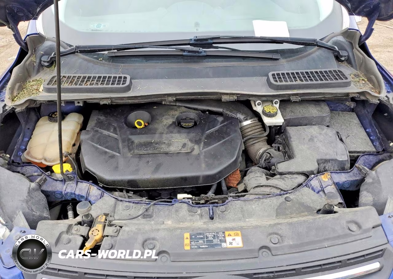2015 Ford Escape Se VIN:1FMCU0G93FUC76871 - 12