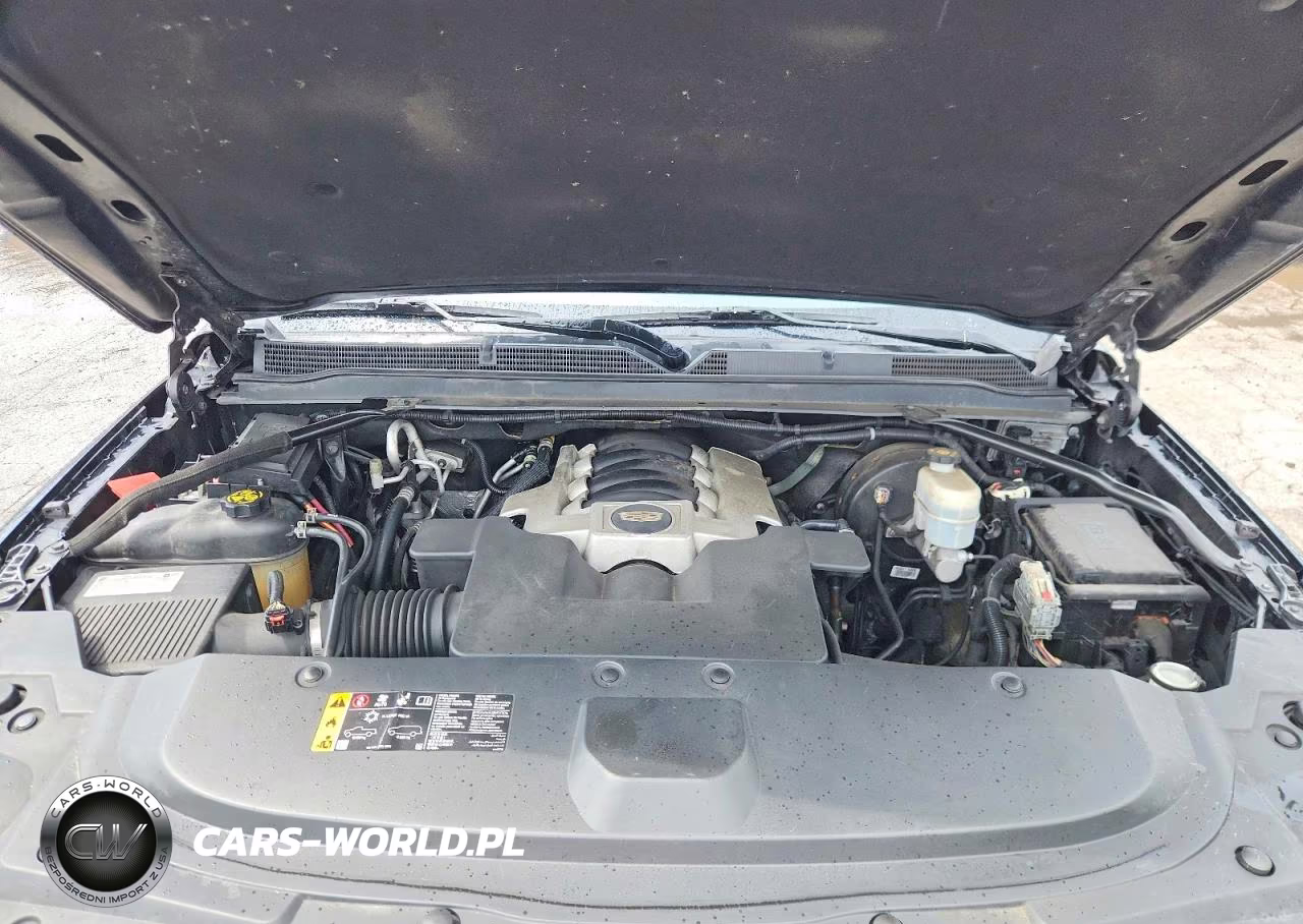 2019 Cadillac Escalade Esv Platinum VIN:1GYS4KKJ0KR296550 - 12
