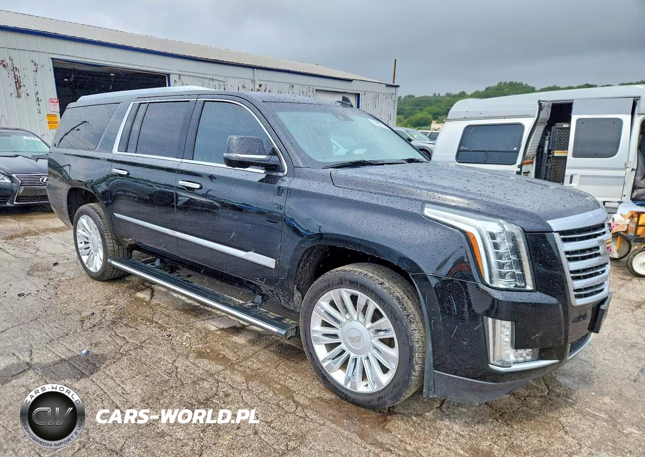2019 Cadillac Escalade Esv Platinum VIN:1GYS4KKJ0KR296550 - 4