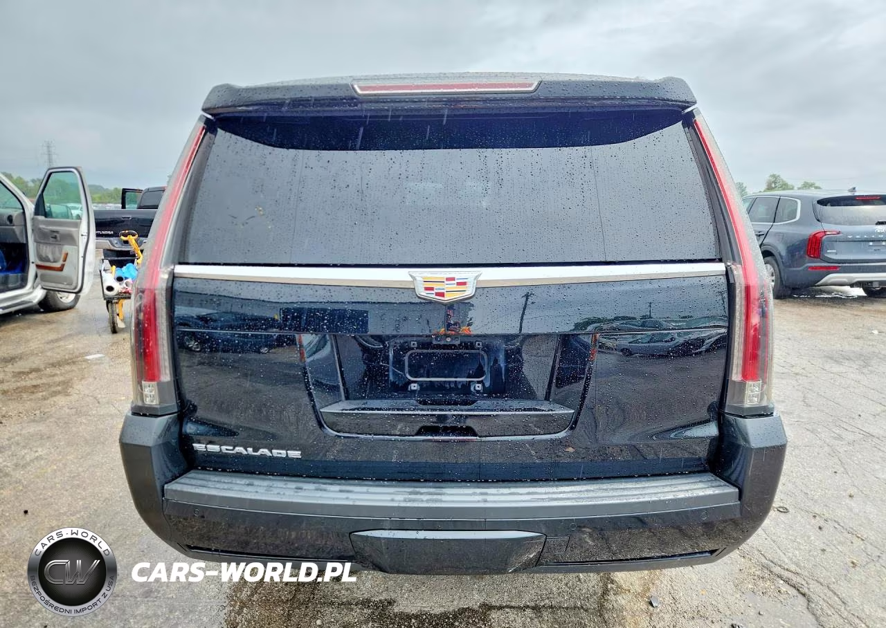 2019 Cadillac Escalade Esv Platinum VIN:1GYS4KKJ0KR296550 - 6