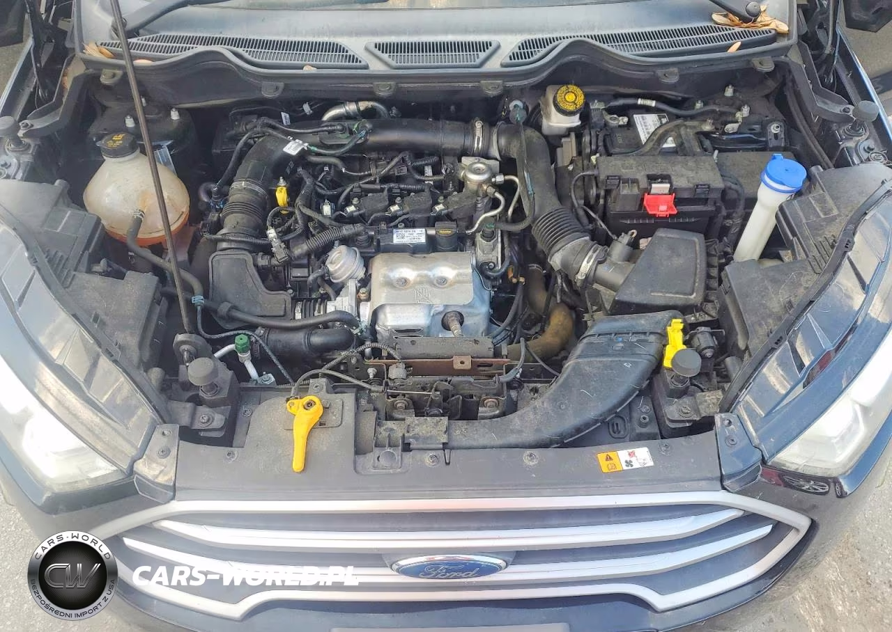 2021 Ford Ecosport Se VIN:MAJ3S2GE6MC425639 - 12