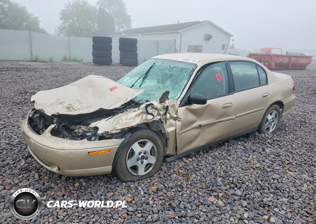 2004 Chevrolet Classic VIN:1G1ND52F94M709994 - 1