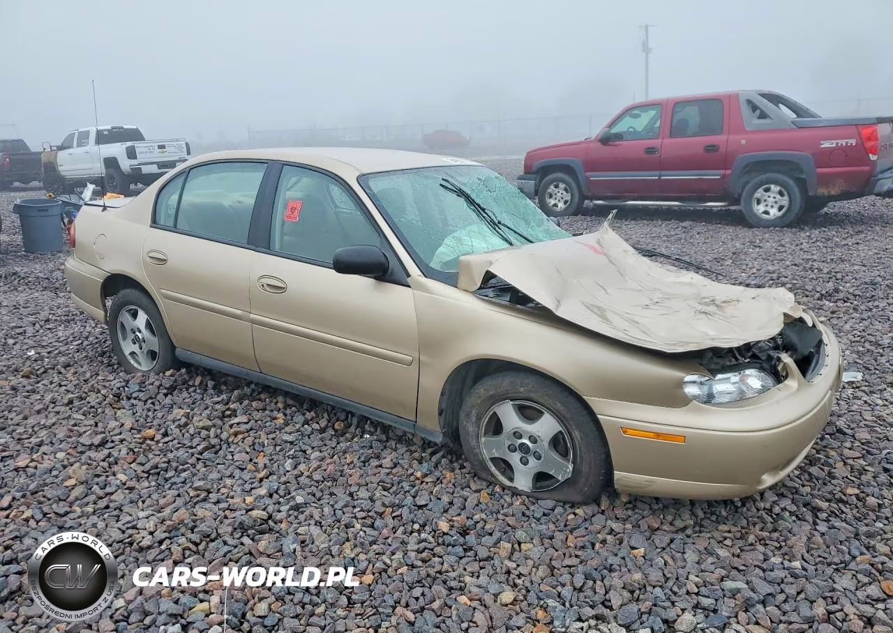 2004 Chevrolet Classic VIN:1G1ND52F94M709994 - 4