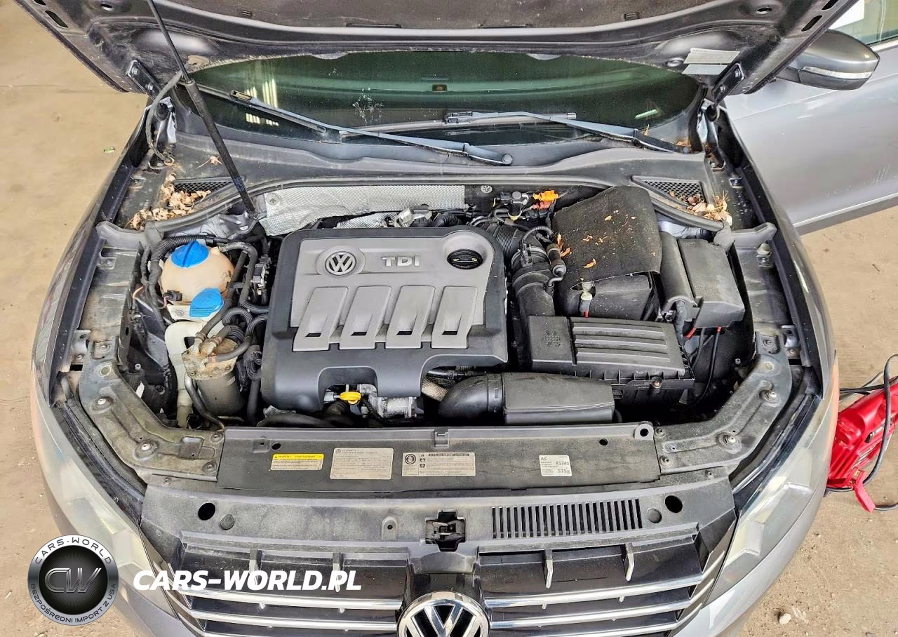 2014 Volkswagen Passat Sel VIN:1VWCN7A34EC021291 - 11