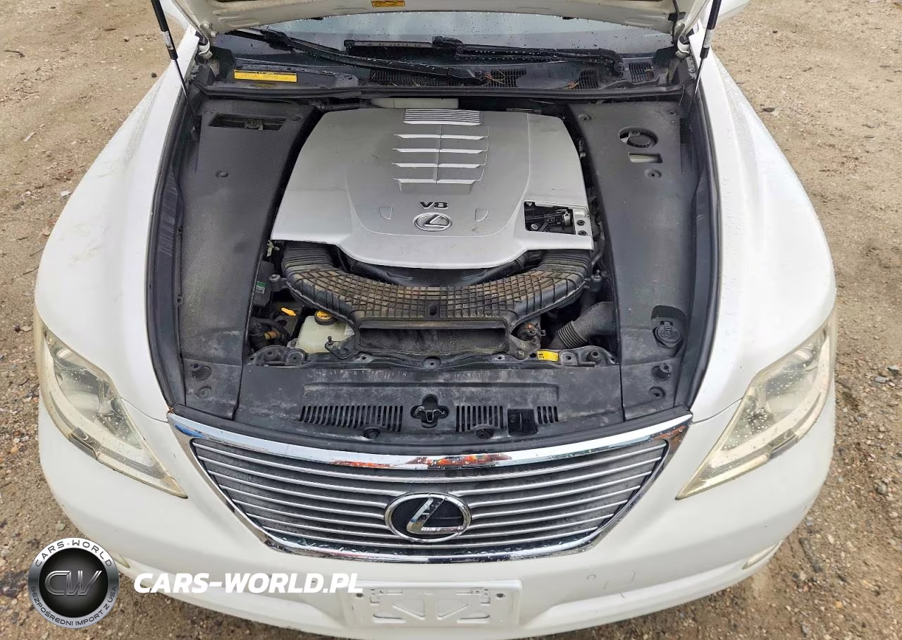 2009 Lexus Ls 460 VIN:JTHBL46F195090258 - 11