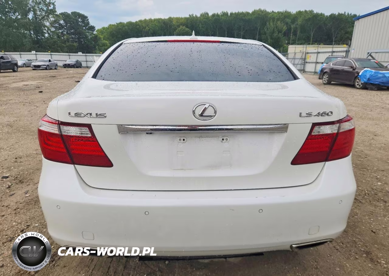2009 Lexus Ls 460 VIN:JTHBL46F195090258 - 6