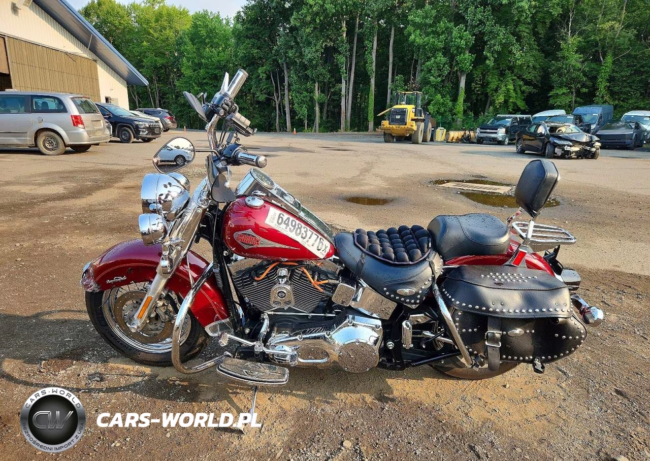 2001 Harley-Davidson Flstci VIN:1HD1BWB181Y013636 - 3