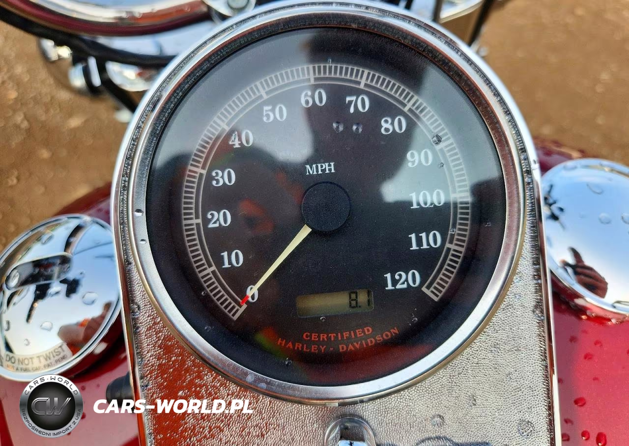 2001 Harley-Davidson Flstci VIN:1HD1BWB181Y013636 - 7