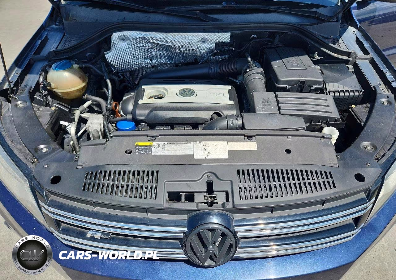 2014 Volkswagen Tiguan S VIN:WVGAV3AX1EW081142 - 12