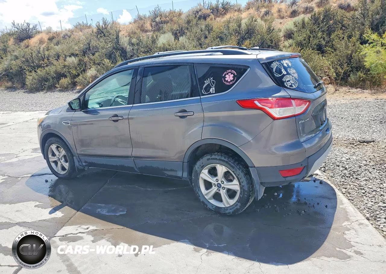 2014 Ford Escape Se VIN:1FMCU9G99EUC52433 - 2