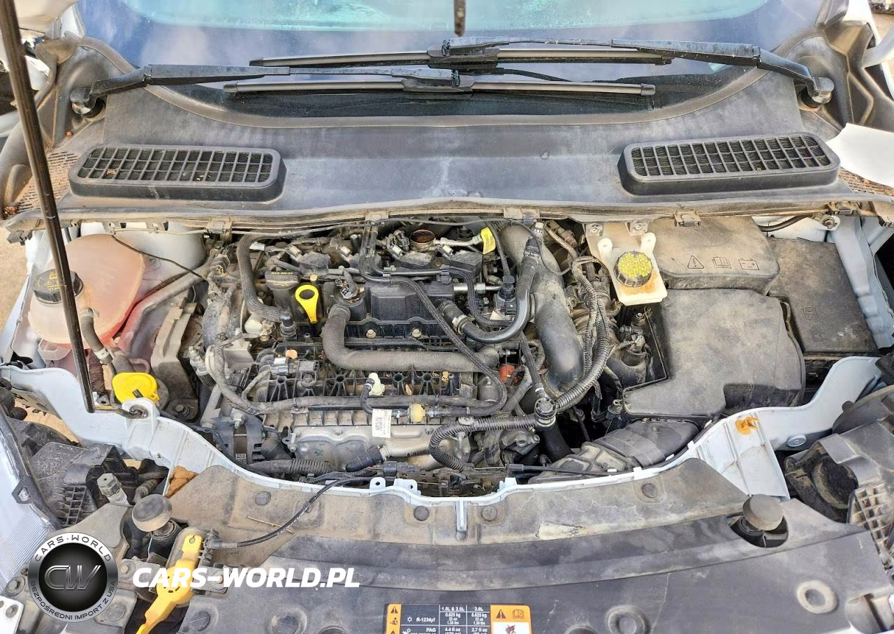 2019 Ford Escape Se VIN:1FMCU0GD4KUB86109 - 11