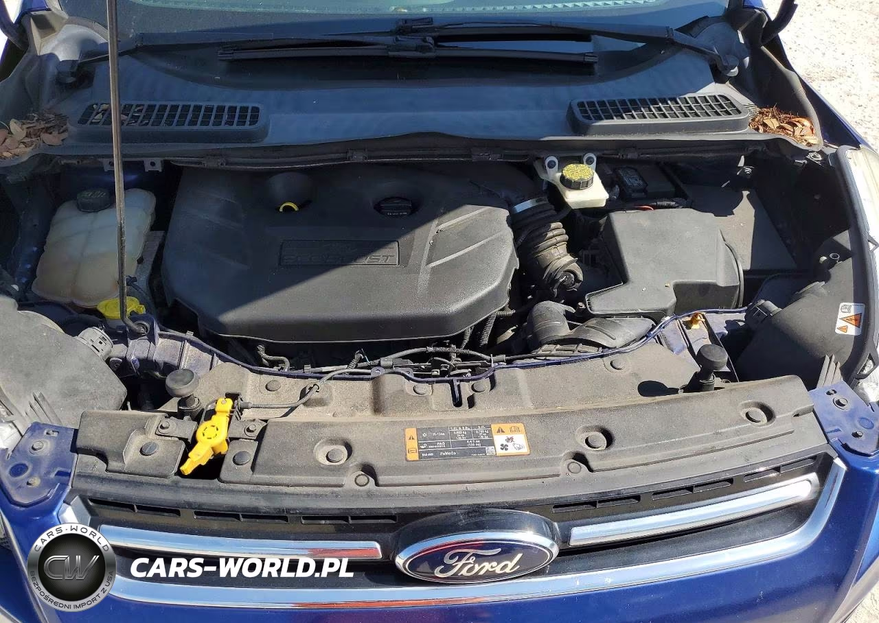 2014 Ford Escape Titanium VIN:1FMCU0J99EUB60209 - 12