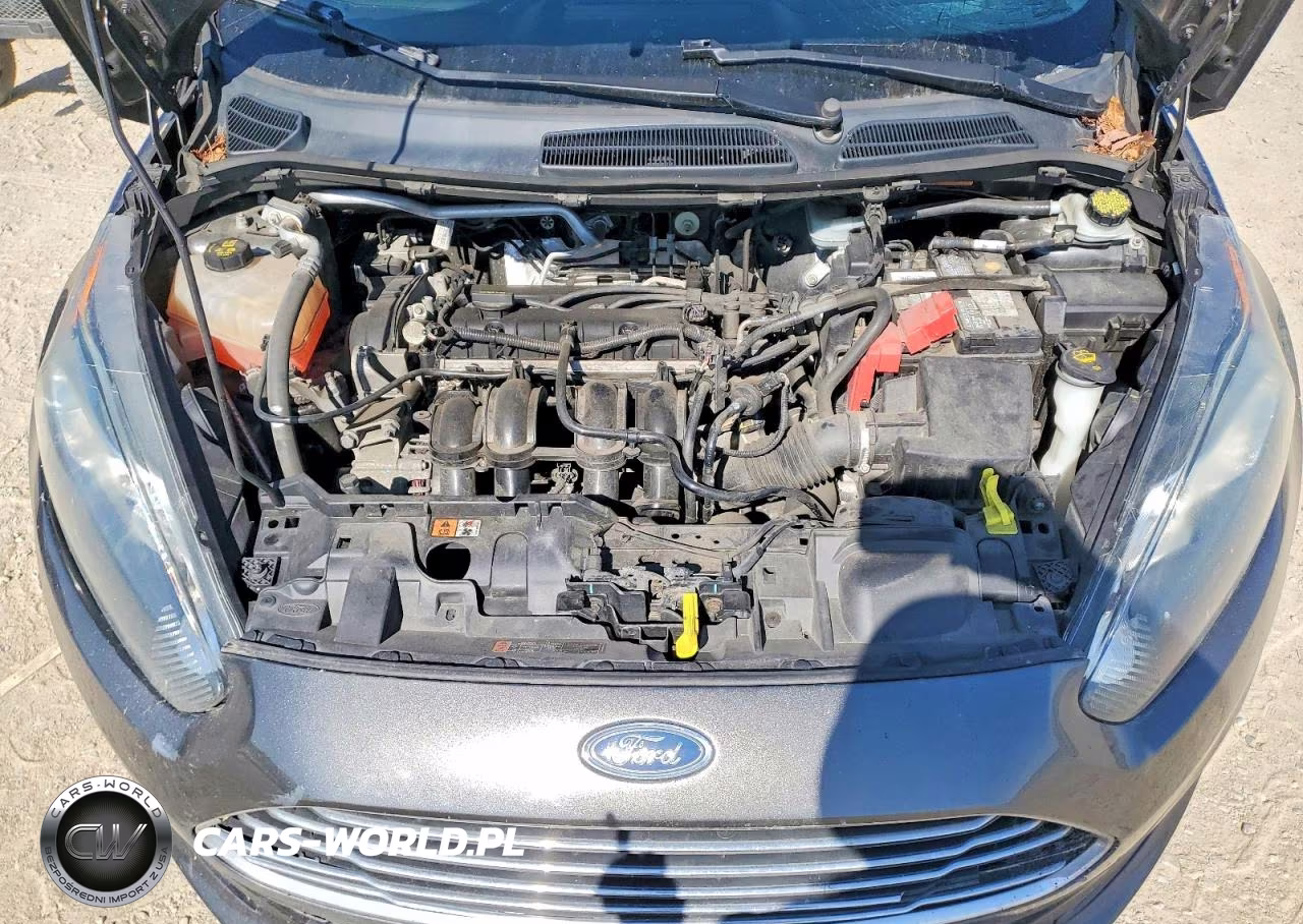 2016 Ford Fiesta Se VIN:3FADP4BJ0GM120355 - 11