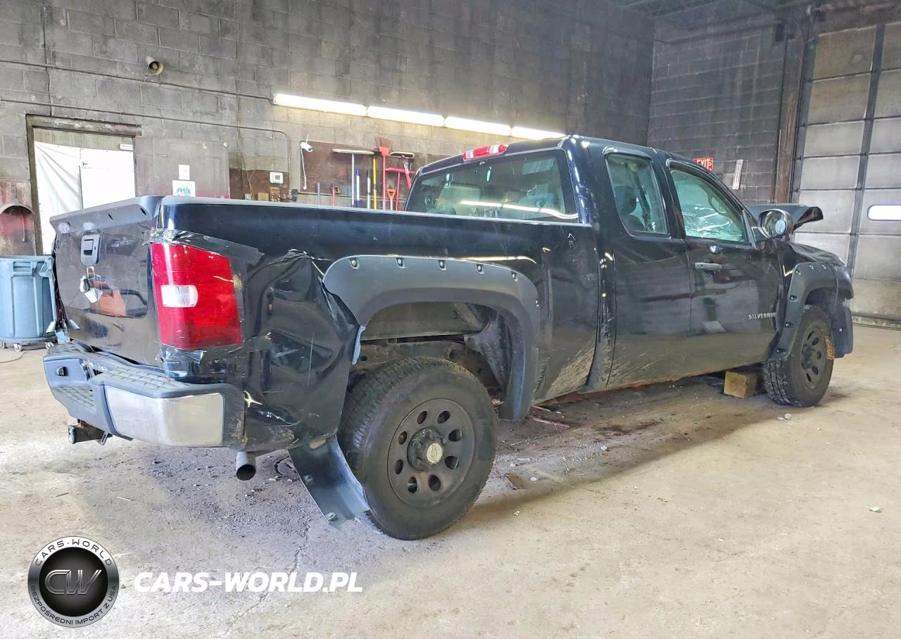 2010 Chevrolet Silverado K1500 VIN:1GCSKPEA2AZ290803 - 3