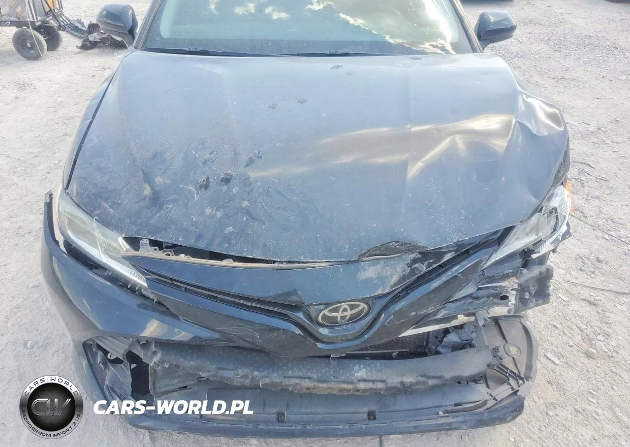 2019 Toyota Camry Le VIN:4T1B11HK2KU269741 - 11