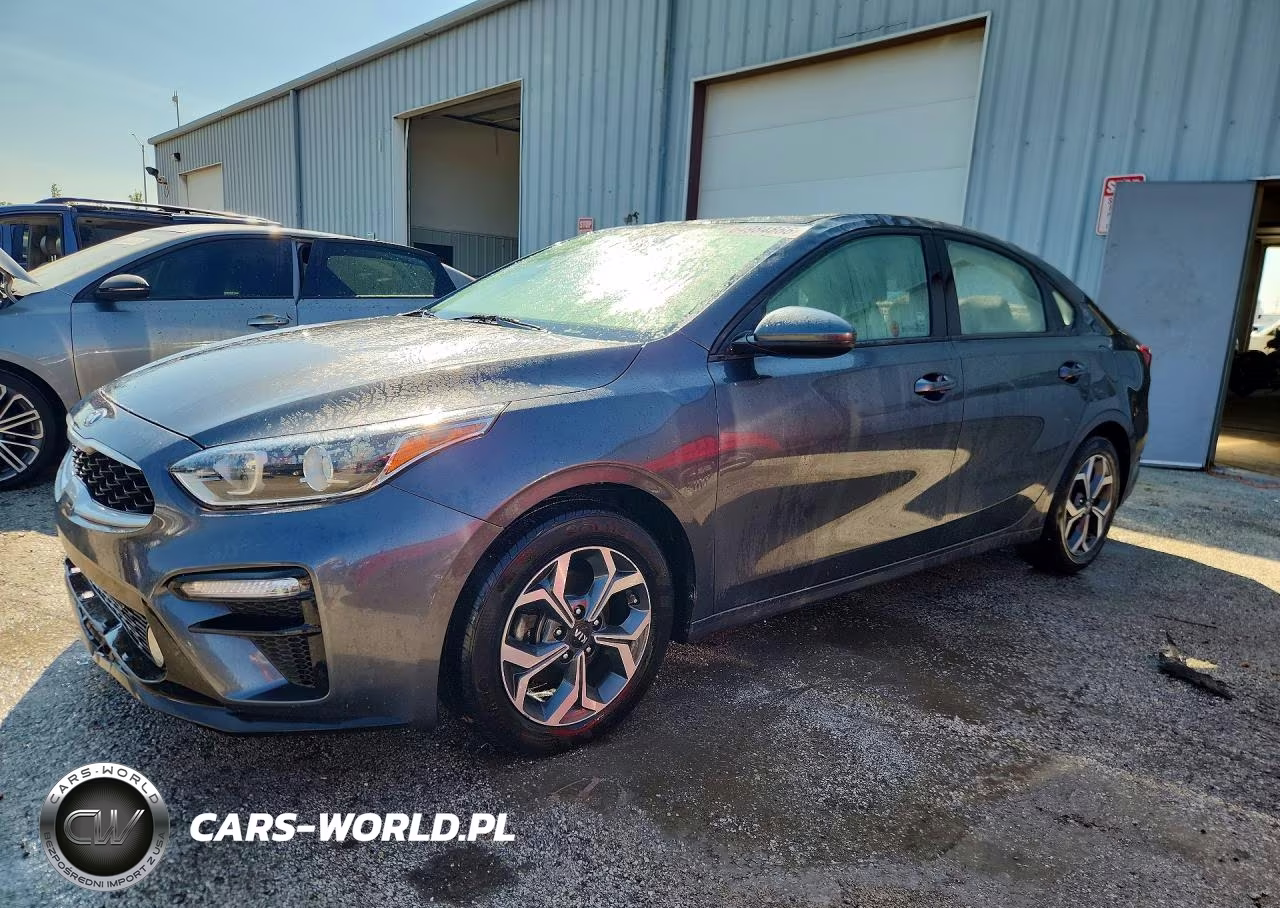 2019 Kia Forte Lxs