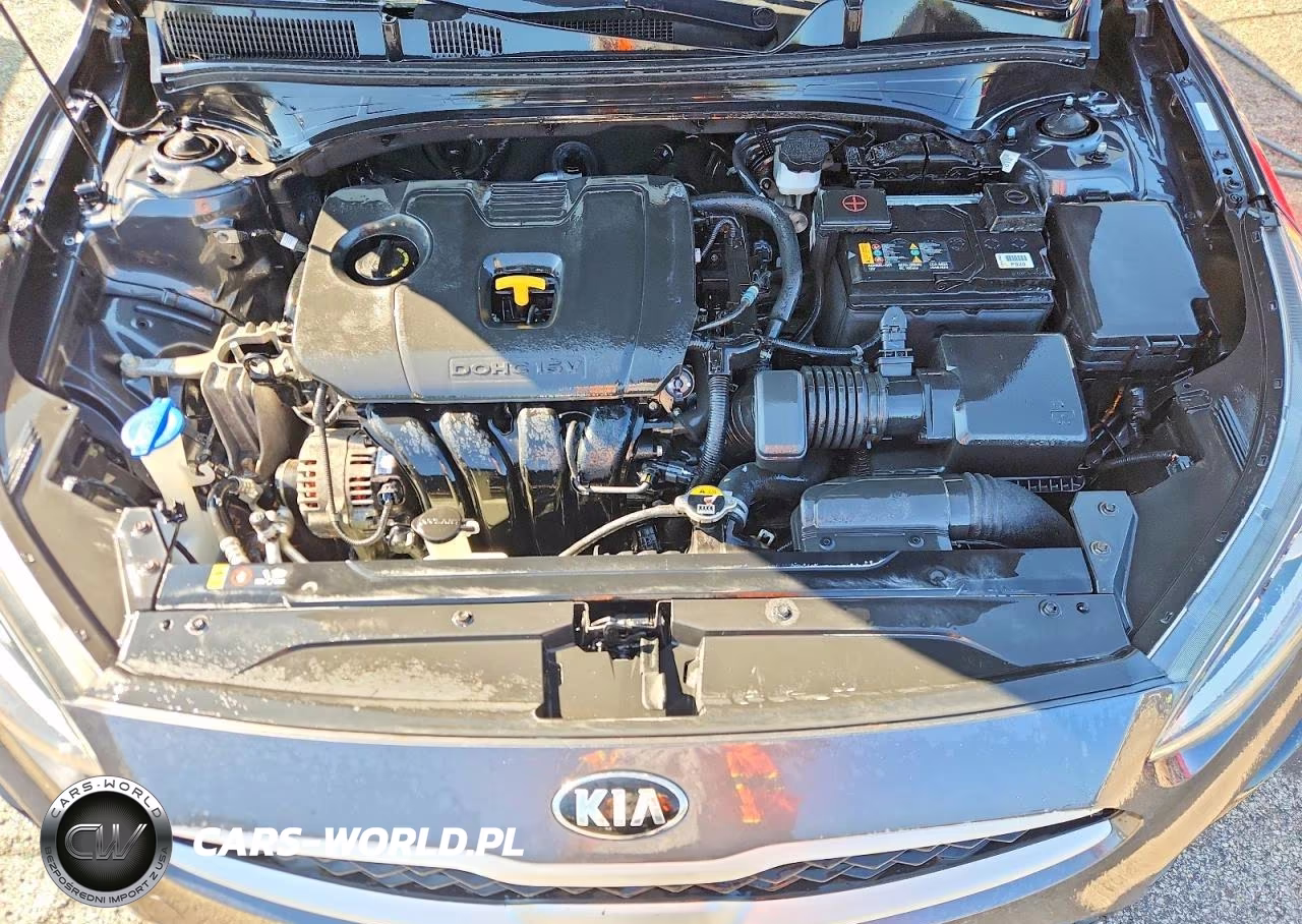 2019 Kia Forte Lxs VIN:3KPF24AD2KE056125 - 11