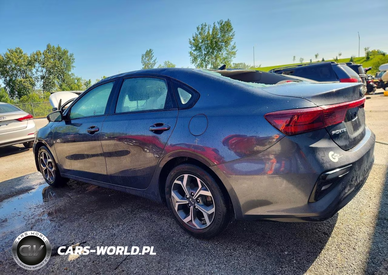 2019 Kia Forte Lxs VIN:3KPF24AD2KE056125 - 2