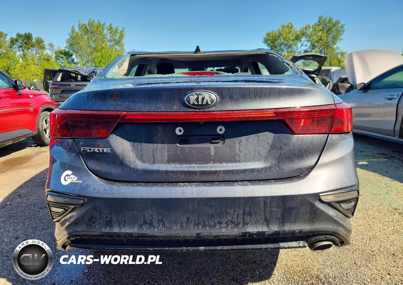 2019 Kia Forte Lxs VIN:3KPF24AD2KE056125 - 6