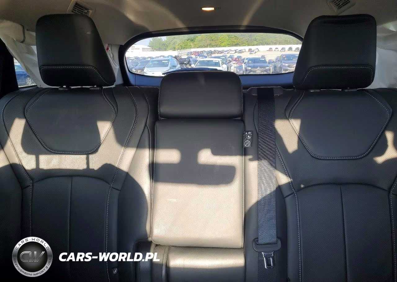 2023 Infiniti Qx60 Luxe VIN:5N1DL1FSXPC373509 - 10