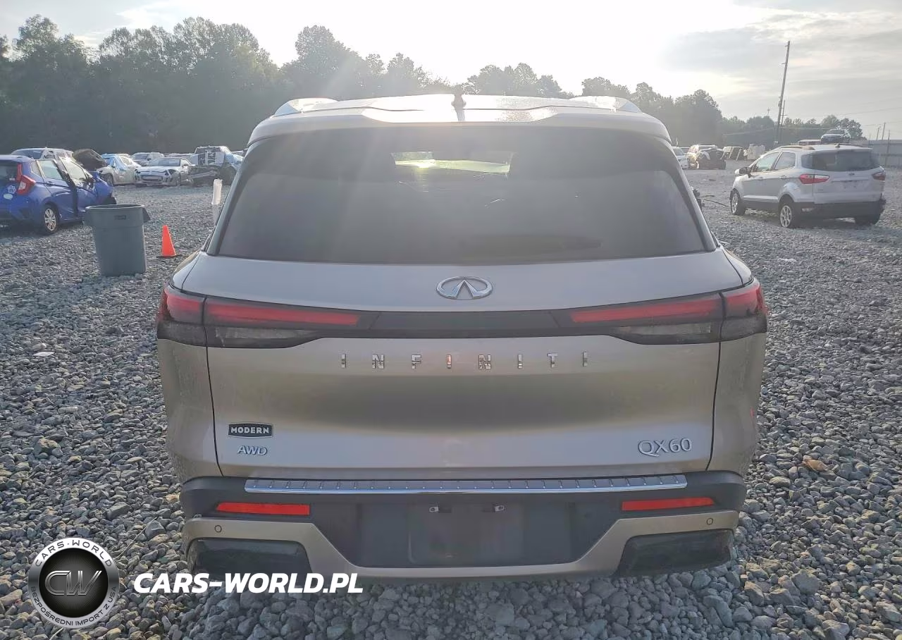 2023 Infiniti Qx60 Luxe VIN:5N1DL1FSXPC373509 - 6