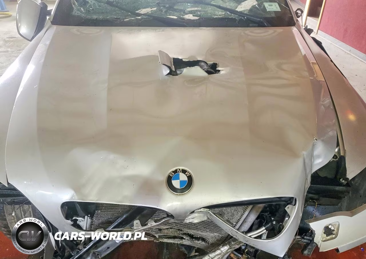 2013 BMW X6 xDrive35I VIN:5UXFG2C51DL786662 - 12