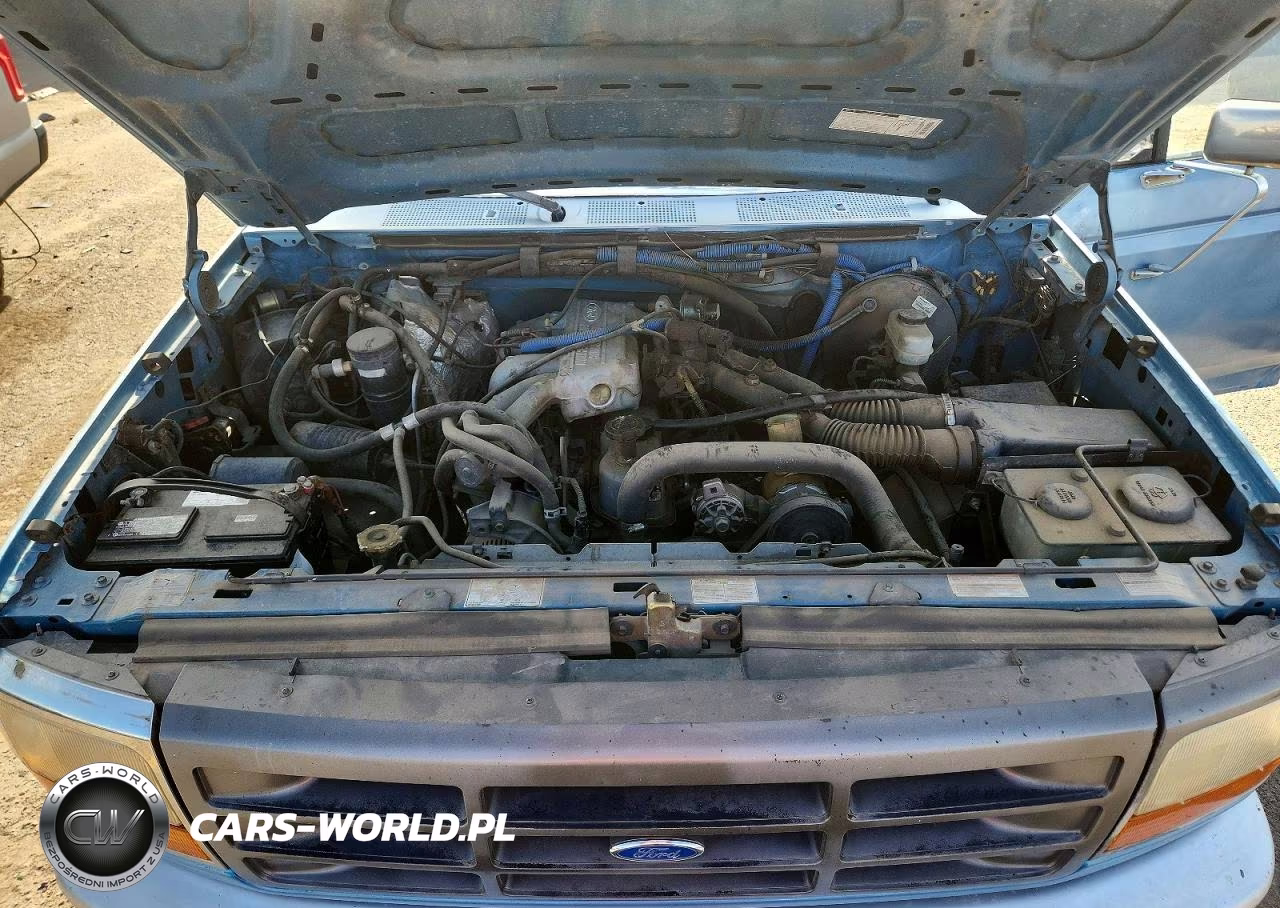 1995 Ford F150 VIN:1FTEF15Z0SLB32971 - 11