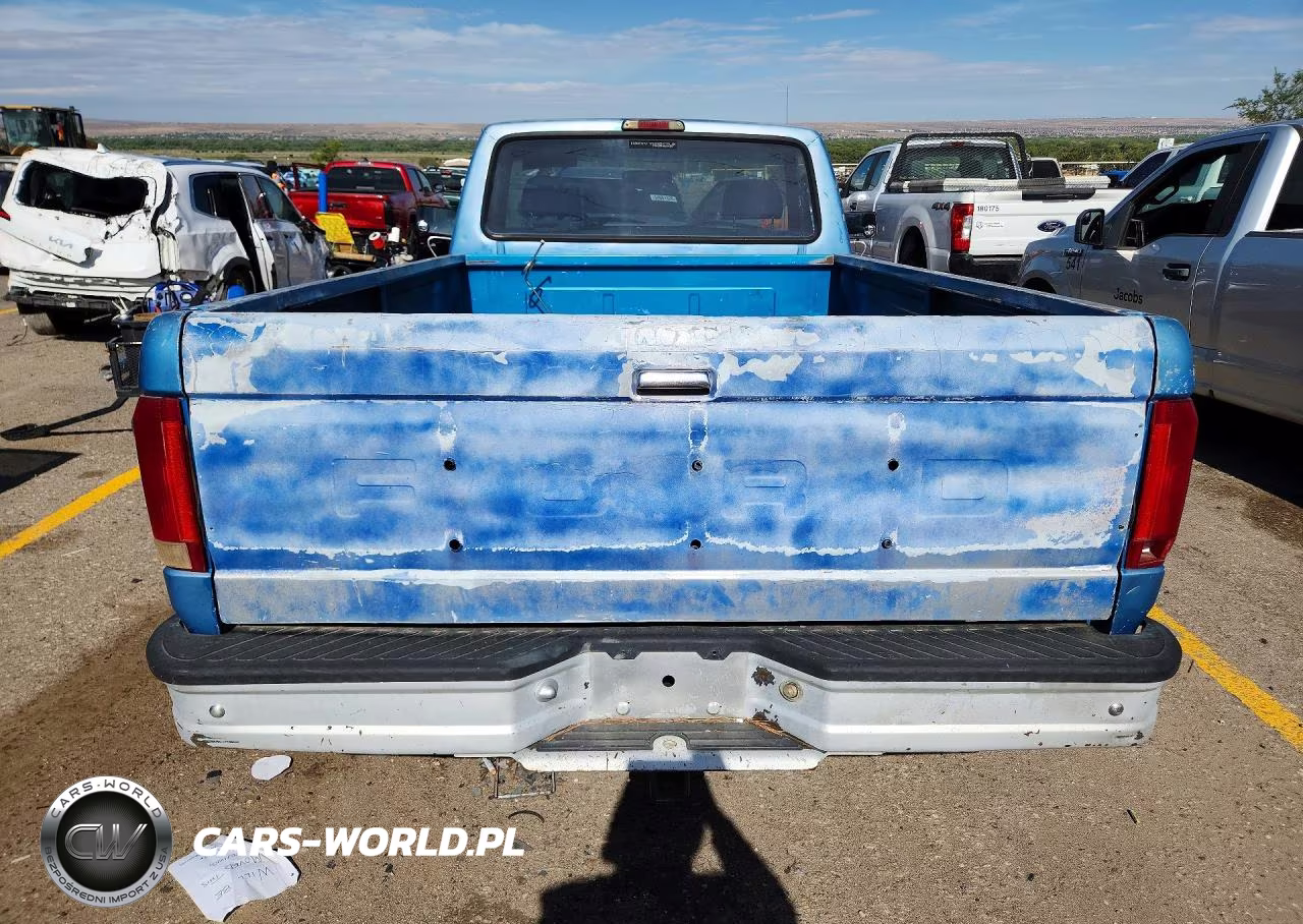 1995 Ford F150 VIN:1FTEF15Z0SLB32971 - 6
