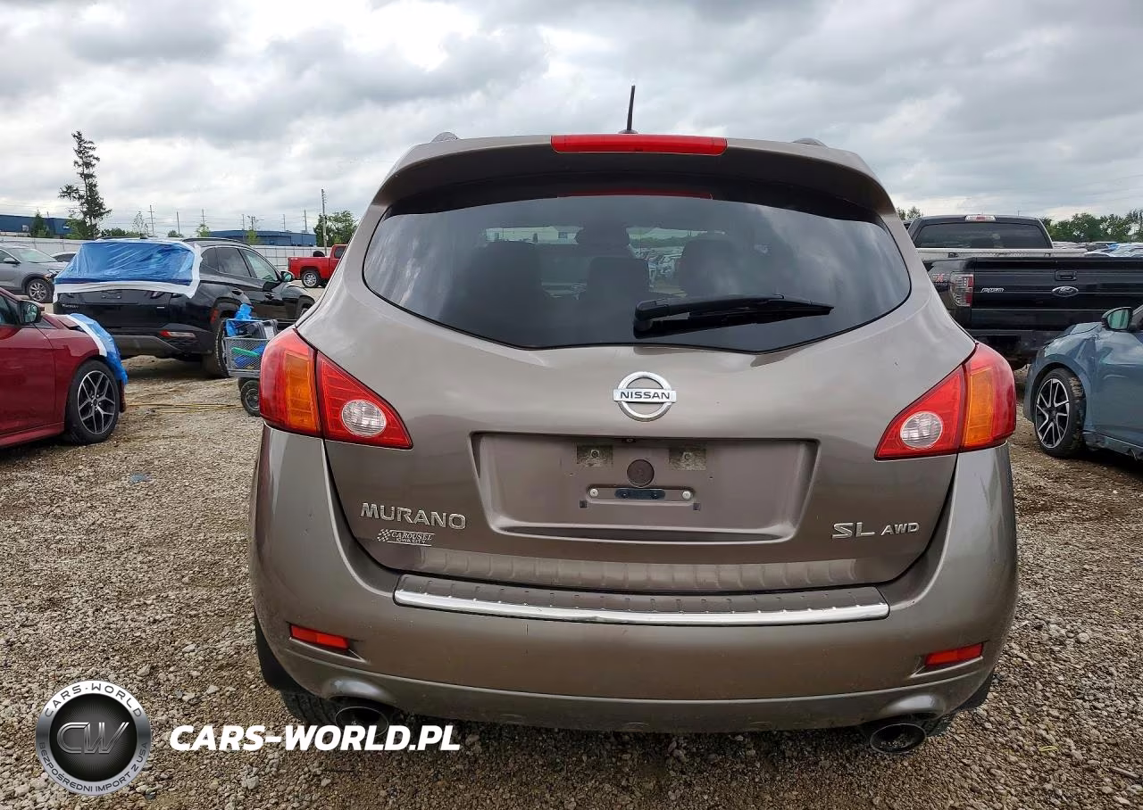 2010 Nissan Murano S VIN:JN8AZ1MW2AW118178 - 6