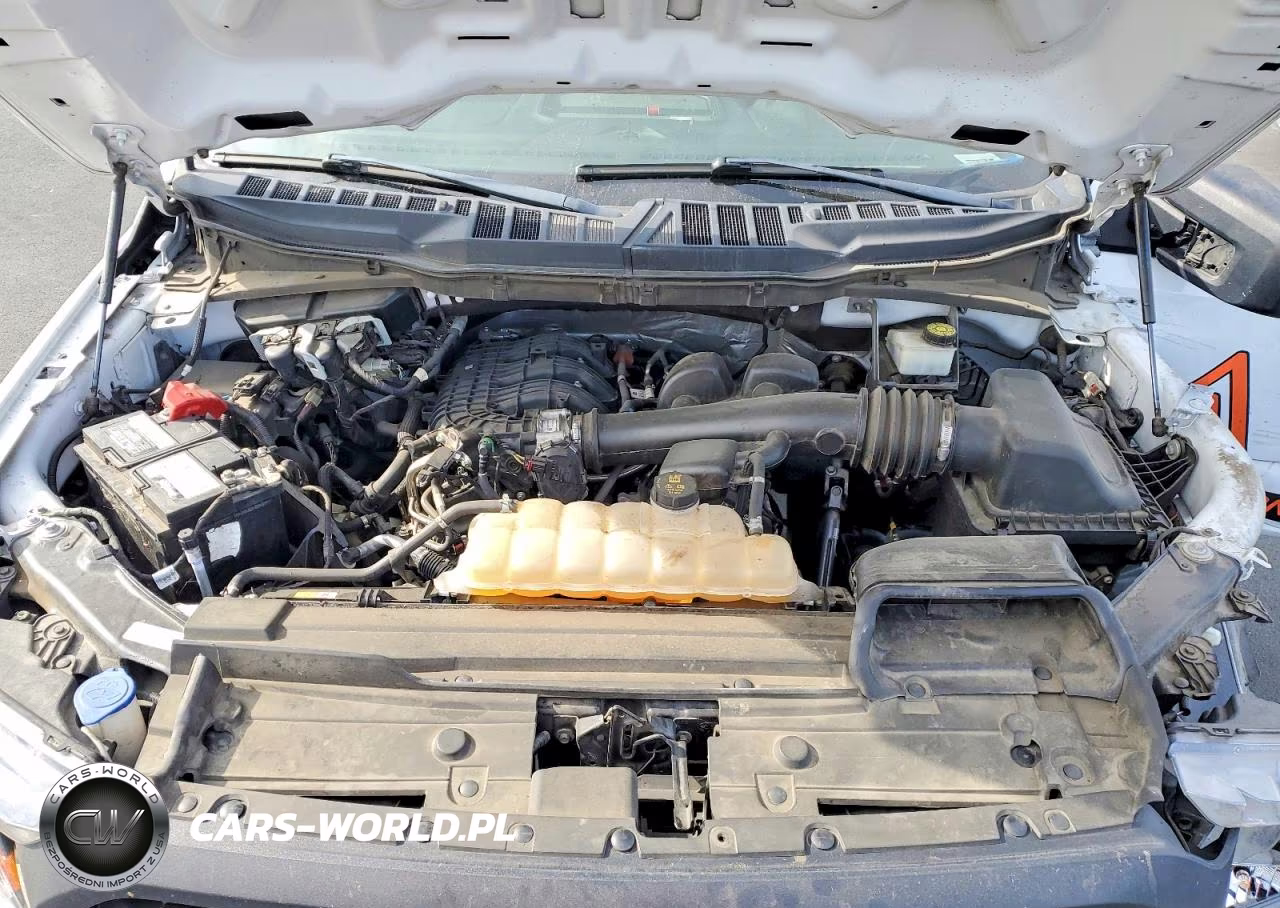 2023 Ford F150 VIN:1FTMF1CB6PKE29631 - 11