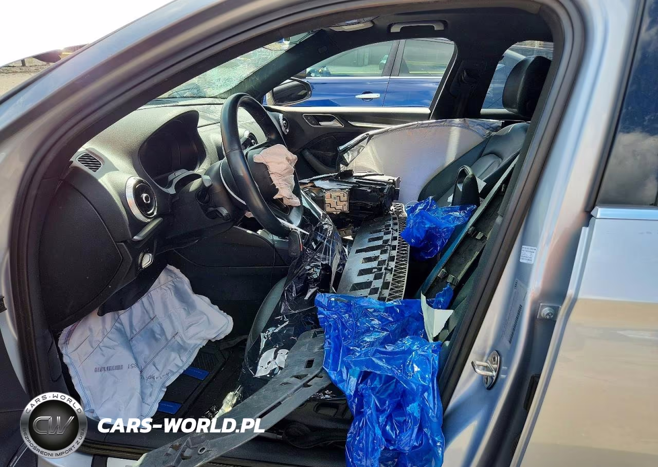 2019 Audi A3 Premium Plus VIN:WAUJEGFF3KA087980 - 7