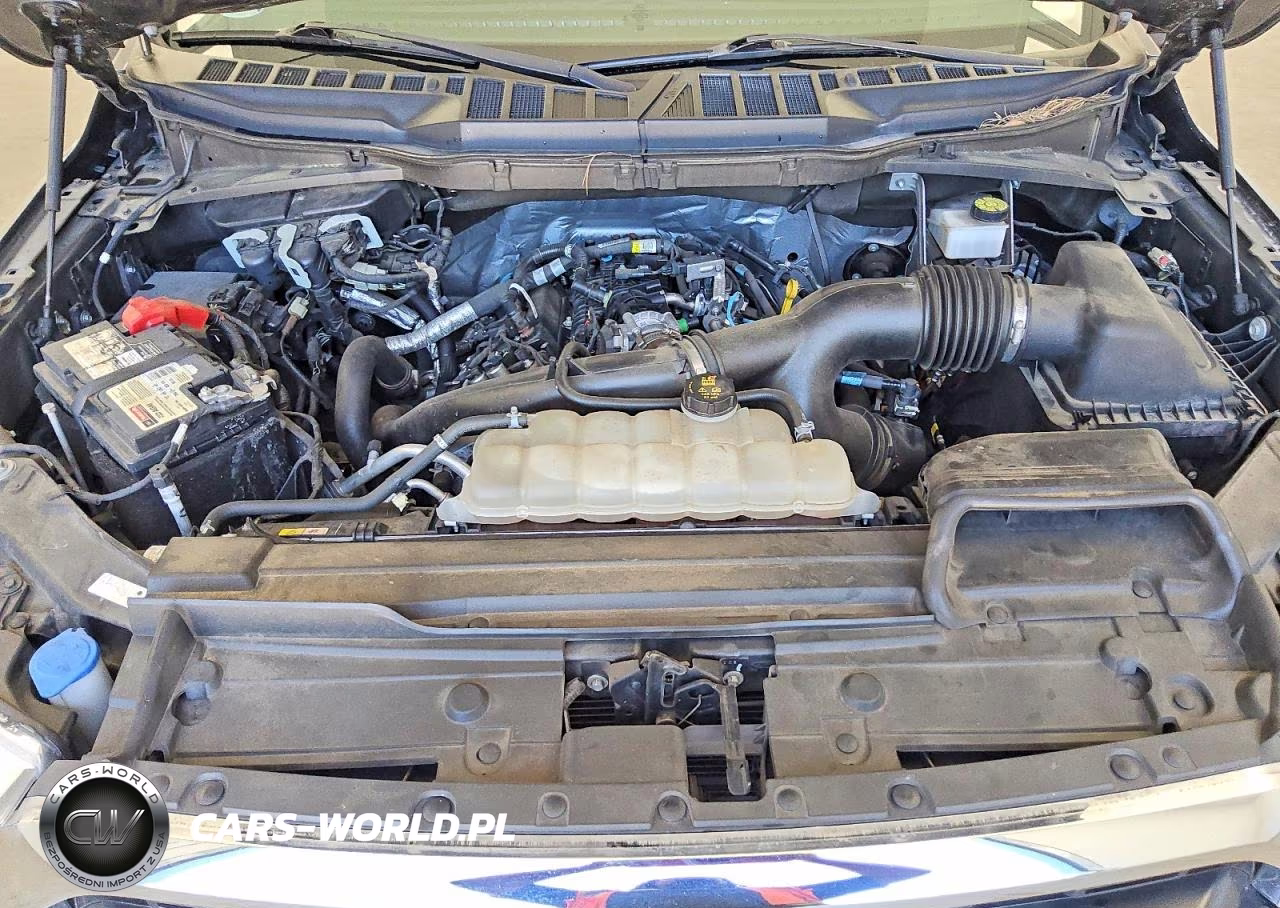 2021 Ford F150 Supercrew VIN:1FTEW1CP7MKF05210 - 11