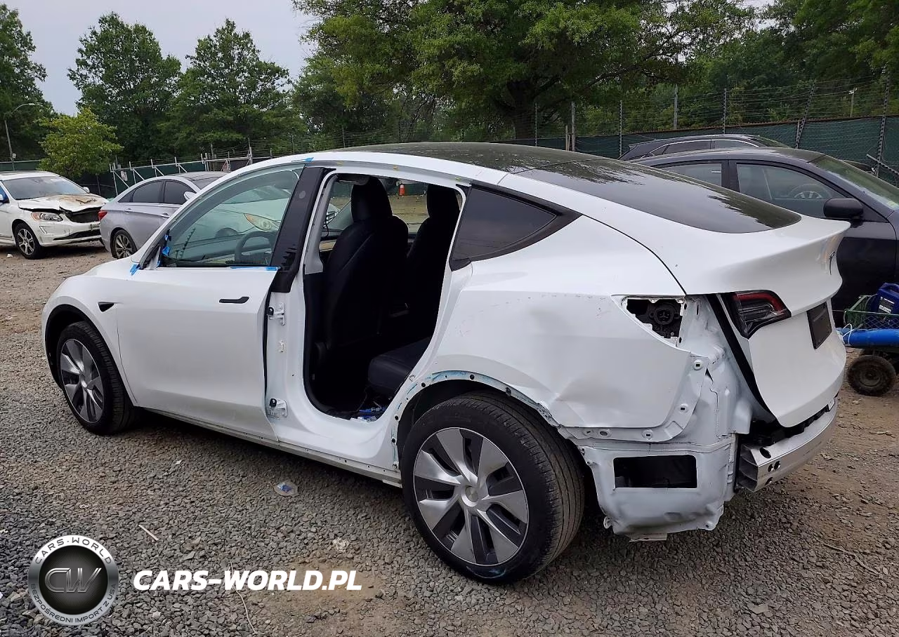 2024 Tesla Model Y VIN:7SAYGDEEXRA233618 - 2