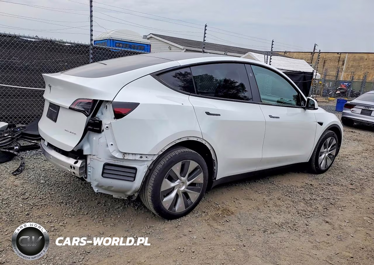2024 Tesla Model Y VIN:7SAYGDEEXRA233618 - 3