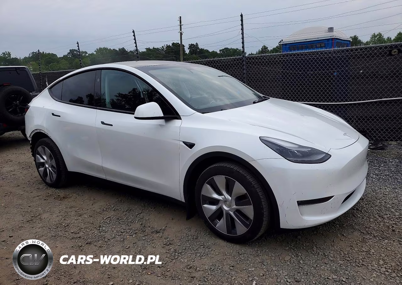 2024 Tesla Model Y VIN:7SAYGDEEXRA233618 - 4
