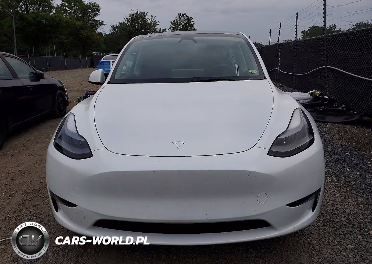 2024 Tesla Model Y VIN:7SAYGDEEXRA233618 - 5