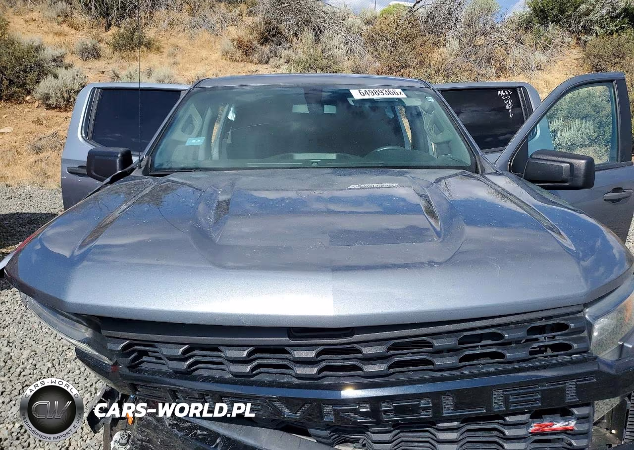 2020 Chevrolet Silverado K1500 Trail Boss Custom VIN:3GCPYCEF9LG118473 - 11
