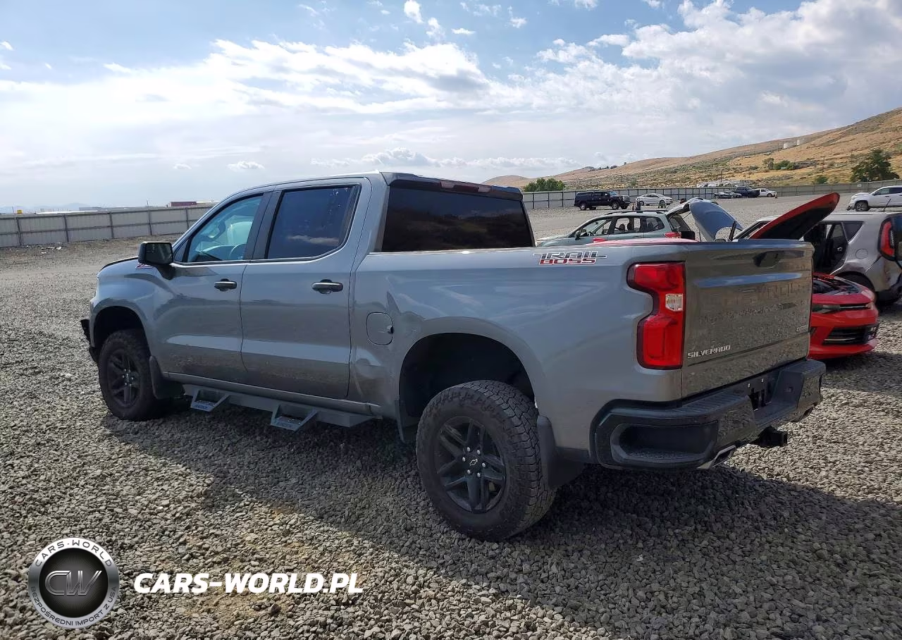 2020 Chevrolet Silverado K1500 Trail Boss Custom VIN:3GCPYCEF9LG118473 - 2